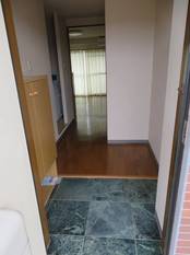 Pic1