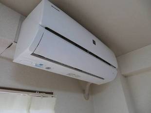 Pic11