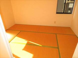 Pic11
