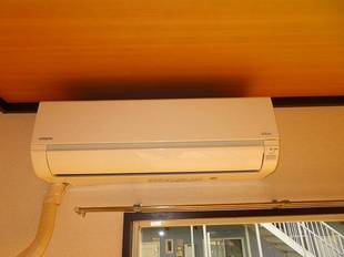 シャンプードレッサー