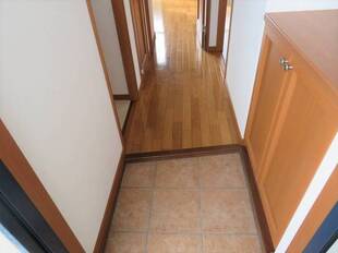 Pic1