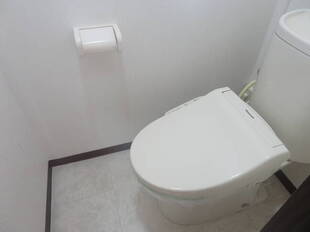 Pic17