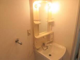 シャンプードレッサー