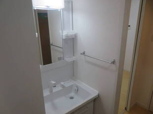 シャンプードレッサー