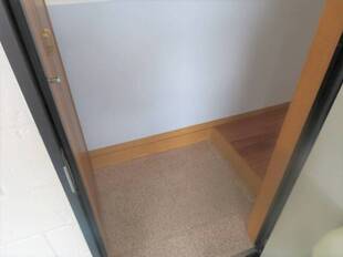 Pic1