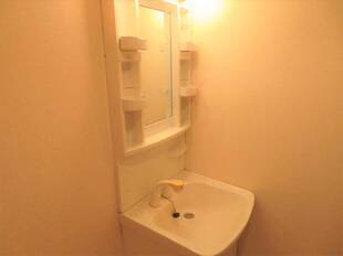 シャンプードレッサー