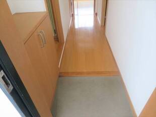 Pic1