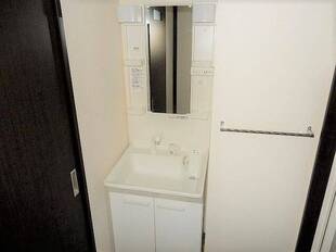 シャンプードレッサー