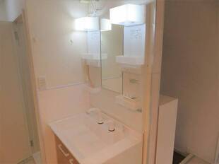 シャンプードレッサー