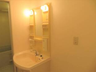 シャンプードレッサー