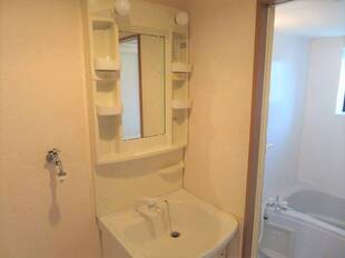 シャンプードレッサー