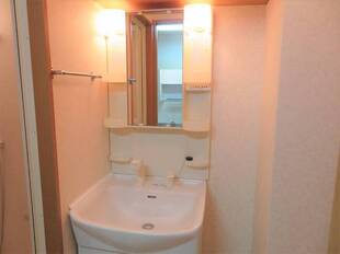 シャンプードレッサー