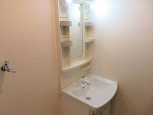 シャンプードレッサー