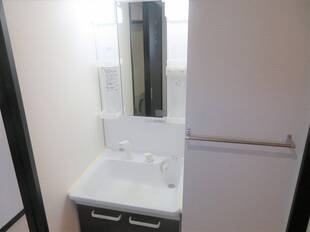 シャンプードレッサー