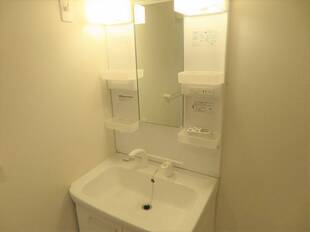 シャンプードレッサー