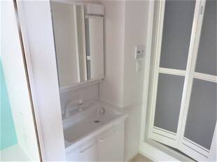 シャンプードレッサー