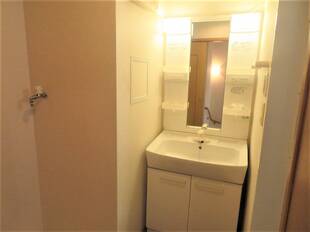 シャンプードレッサー