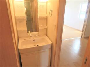 シャンプードレッサー