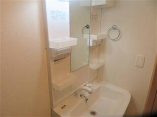 シャンプードレッサー