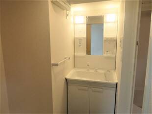 シャンプードレッサー