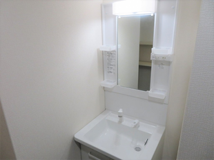 シャンプードレッサー