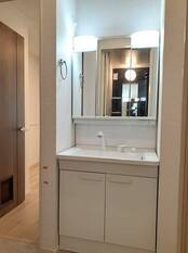 シャンプードレッサー