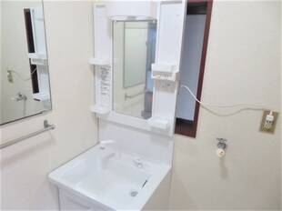 シャンプードレッサー