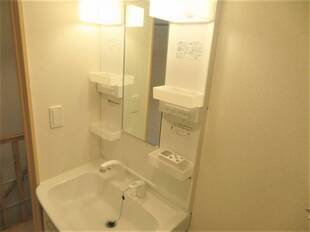 シャンプードレッサー