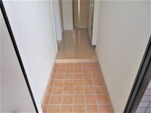 Pic1