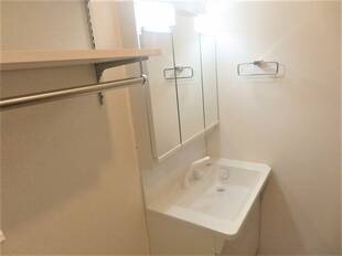 シャンプードレッサー