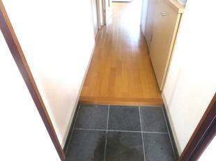 Pic1