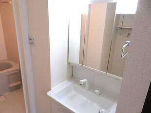 シャンプードレッサー