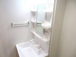 シャンプードレッサー