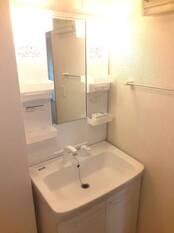 シャンプードレッサー