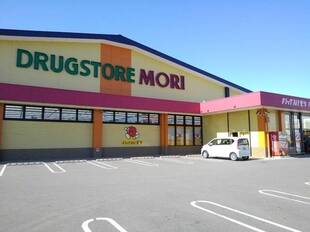 ドラッグストアモリ財光寺店まで1000ｍ