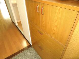 シューズボックス