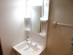 シャンプードレッサー