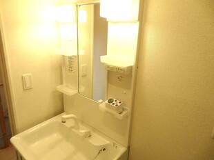 シャンプードレッサー