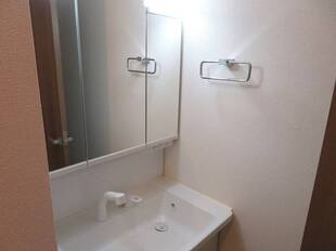 シャンプードレッサー