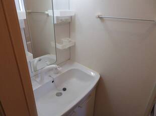 シャンプードレッサー