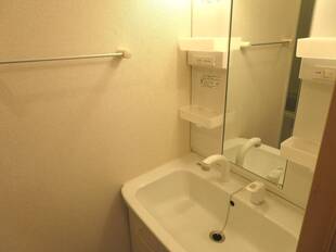 シャンプードレッサー