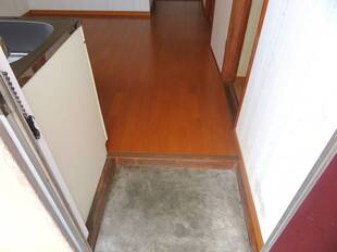 Pic1