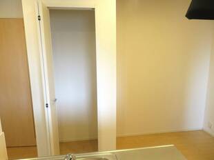 収納(カウンターキッチン)