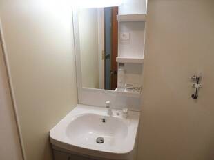 シャンプードレッサー