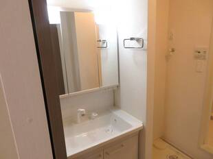 シャンプードレッサー