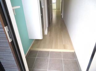 Pic1