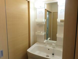 シャンプードレッサー