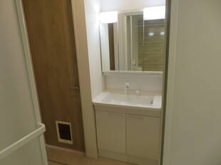 シャンプードレッサー