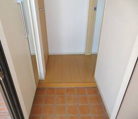Pic1