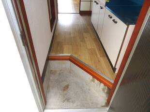 Pic1